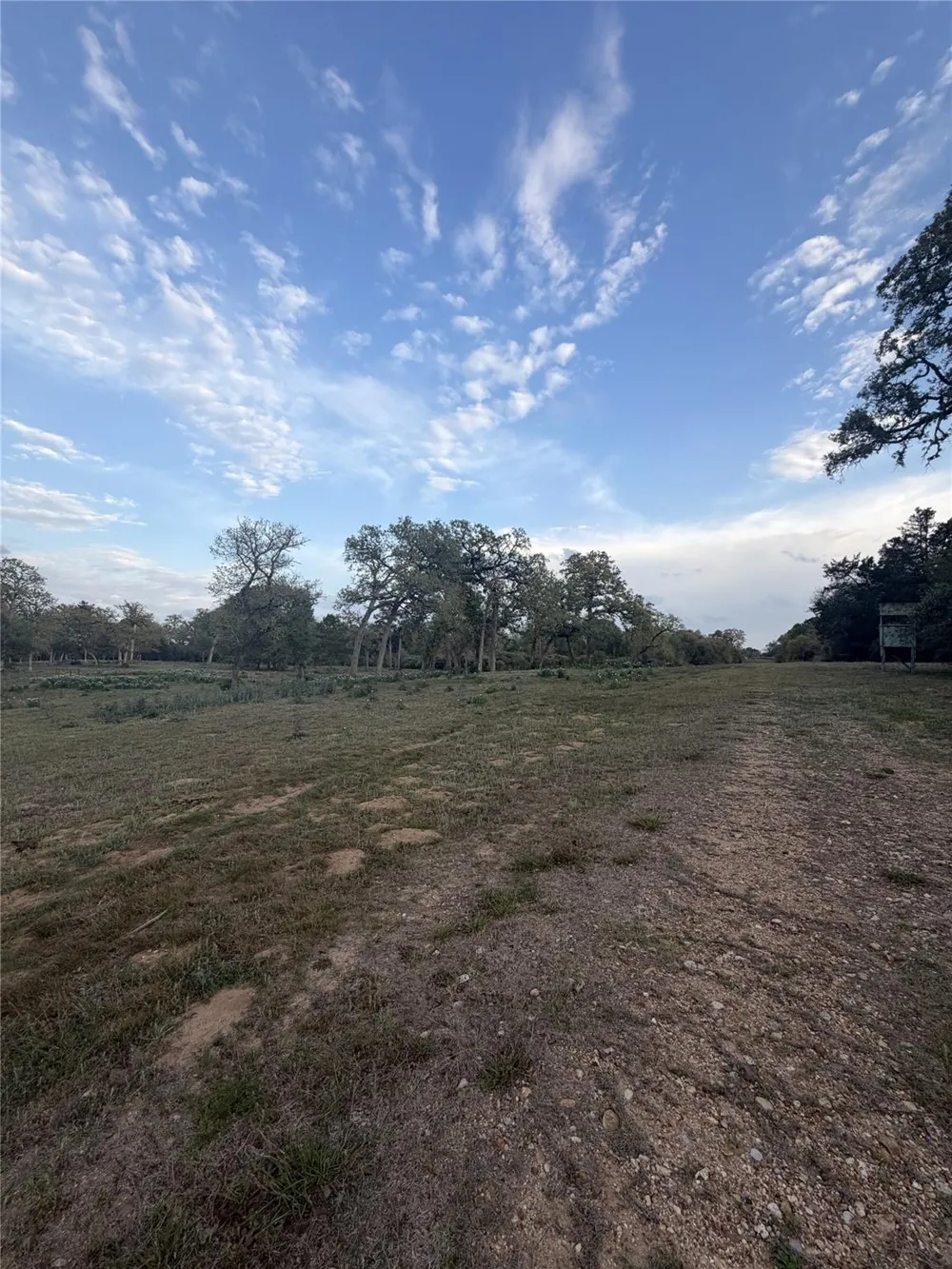 1743 Zimmerscheidt Road New Ulm, TX 78950