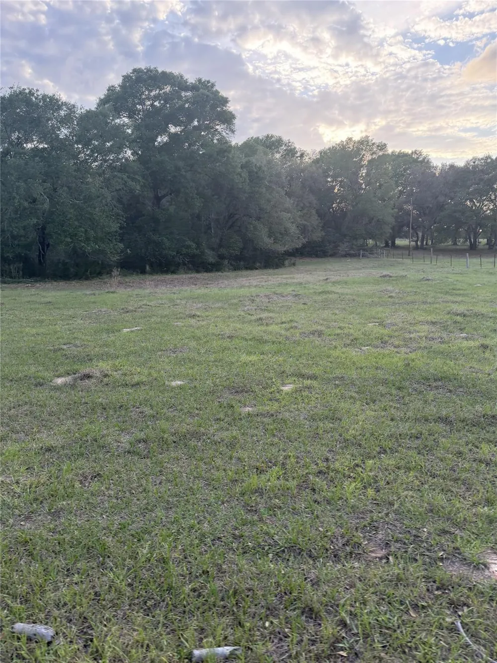 1743 Zimmerscheidt Road New Ulm, TX 78950