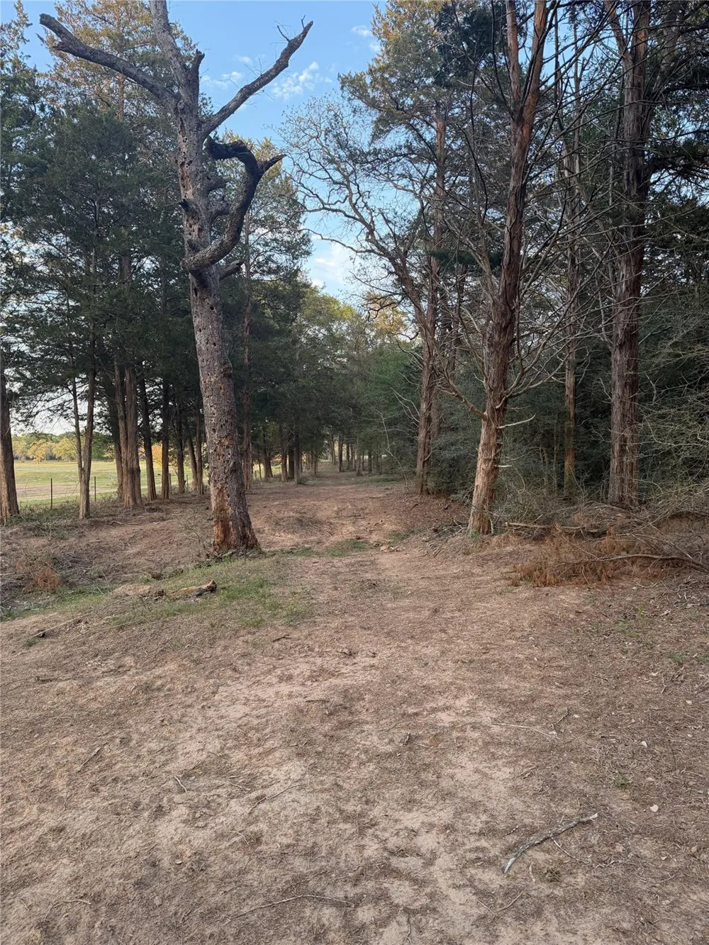 1743 Zimmerscheidt Road New Ulm, TX 78950