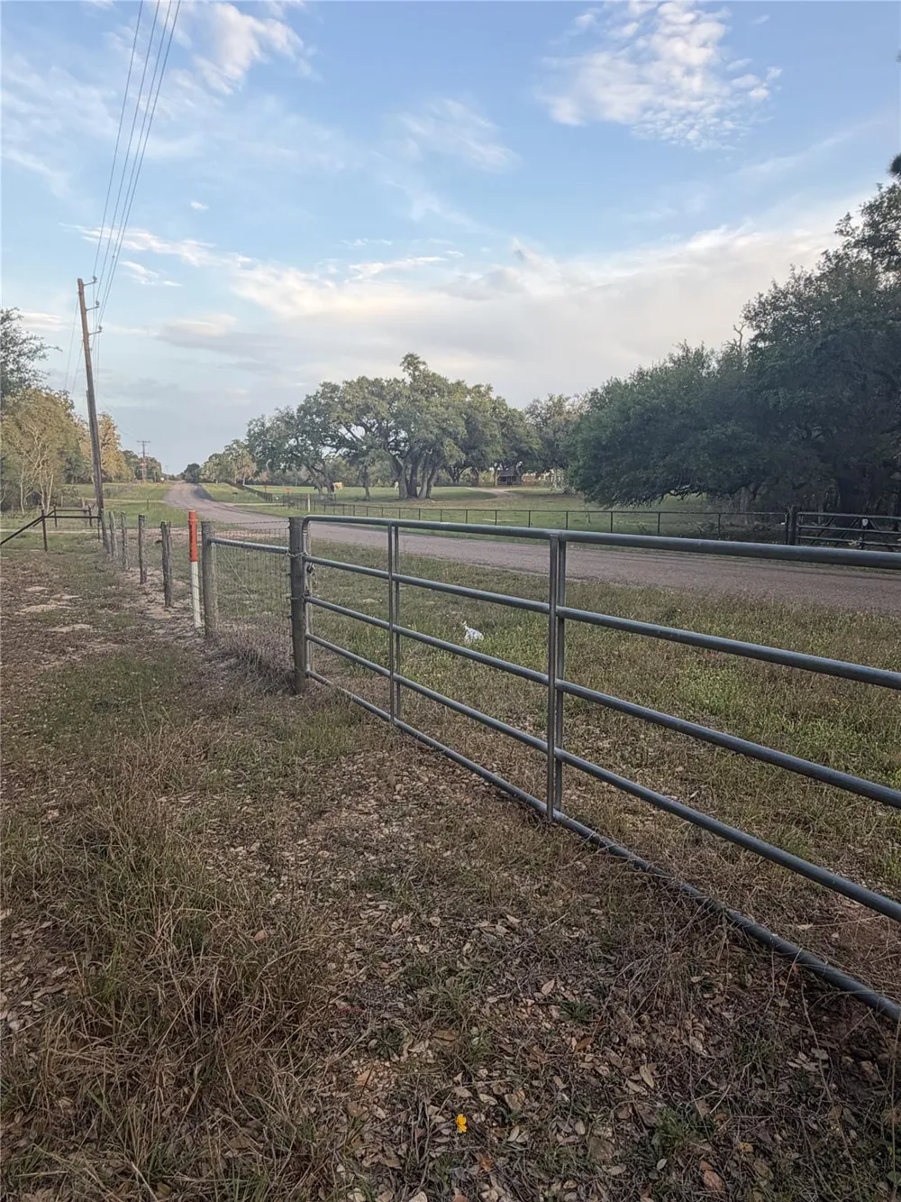1743 Zimmerscheidt Road New Ulm, TX 78950