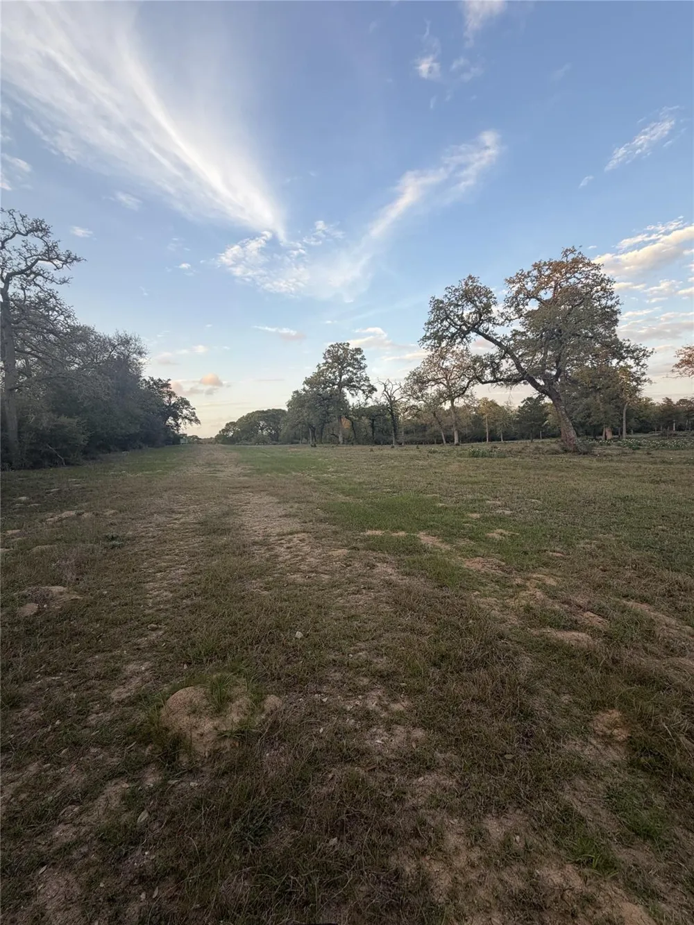 1743 Zimmerscheidt Road New Ulm, TX 78950