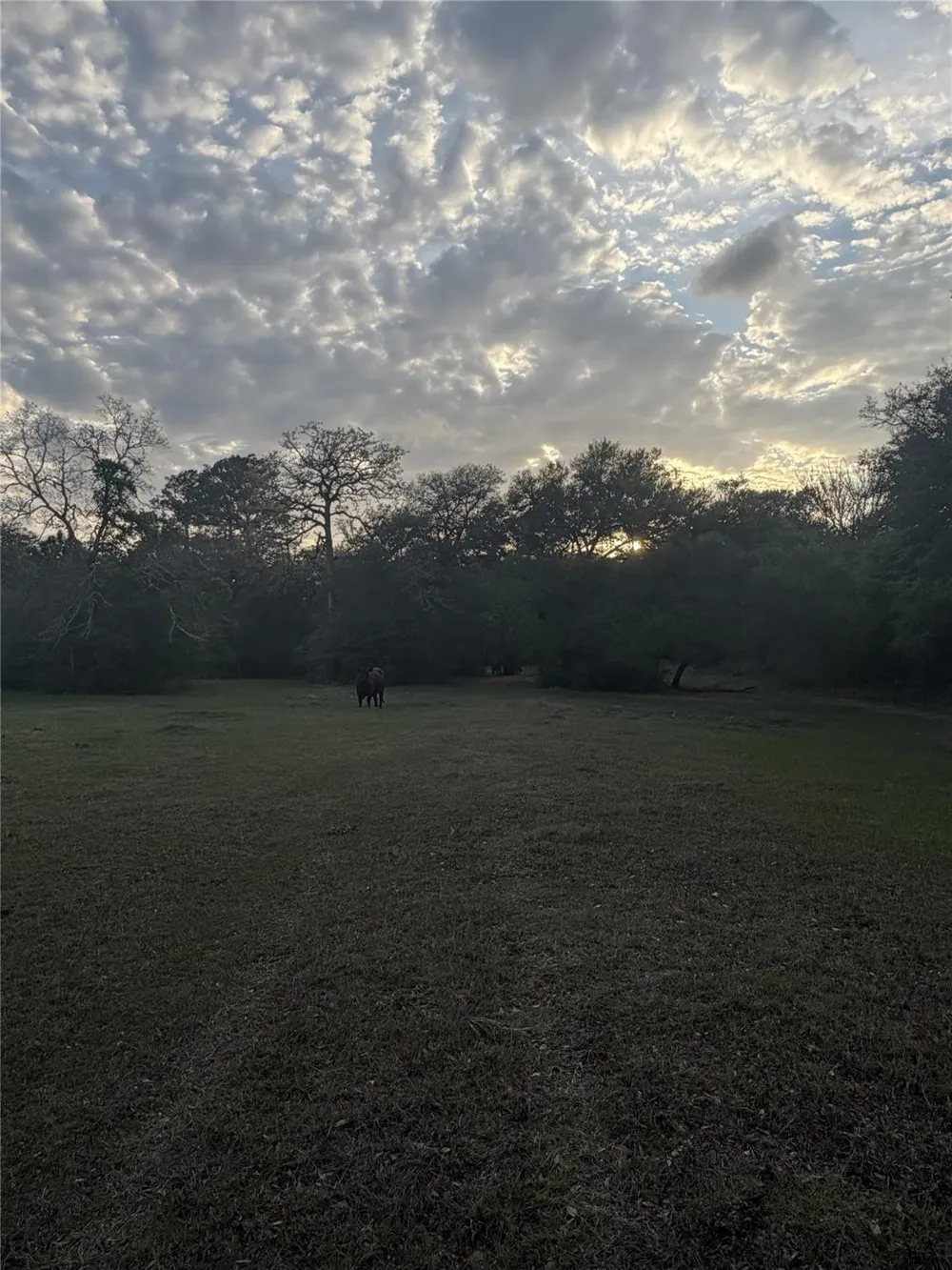 1743 Zimmerscheidt Road New Ulm, TX 78950