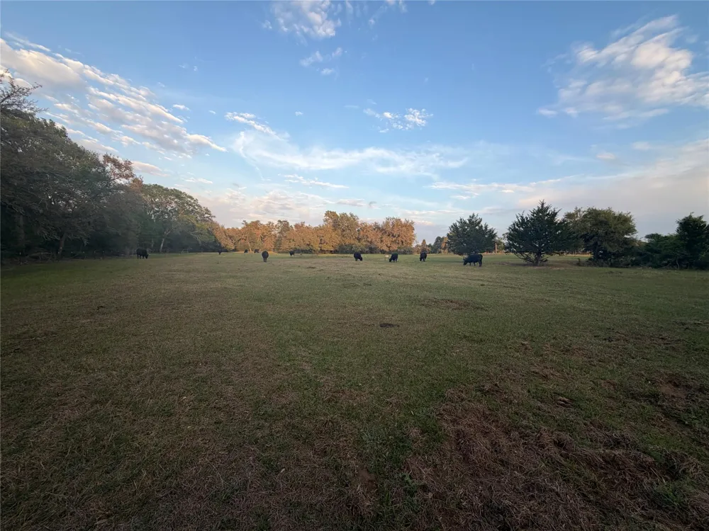 1743 Zimmerscheidt Road New Ulm, TX 78950