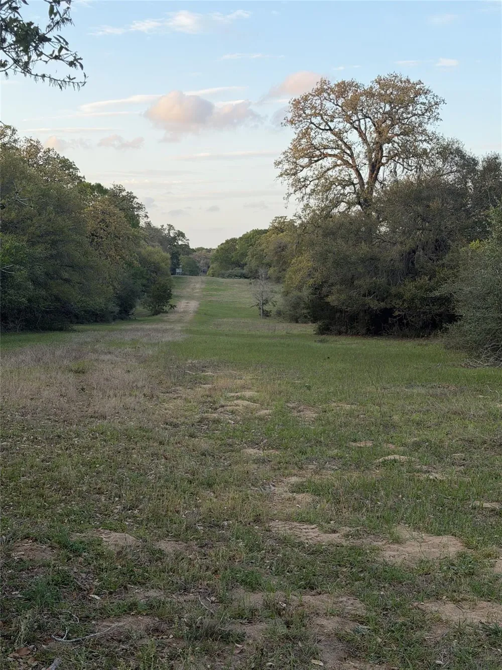 1743 Zimmerscheidt Road New Ulm, TX 78950