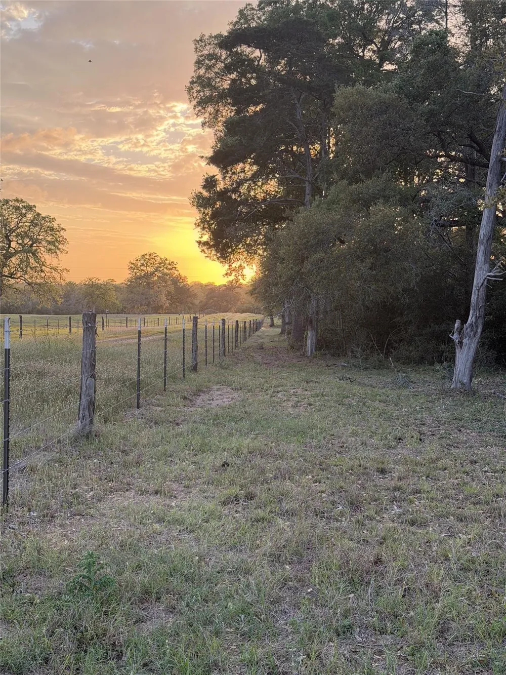1743 Zimmerscheidt Road New Ulm, TX 78950