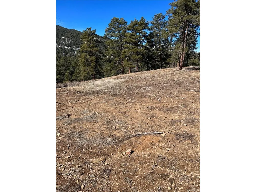 1 Iowa Gulch Road Morrison, CO 80465