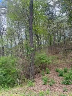 2624 Hixson Pike