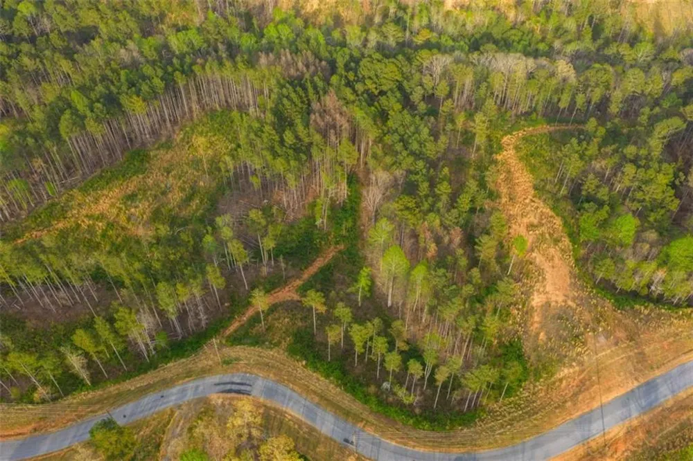 LT 226 West Vista Ridge Parkway Talking Rock, GA 30175