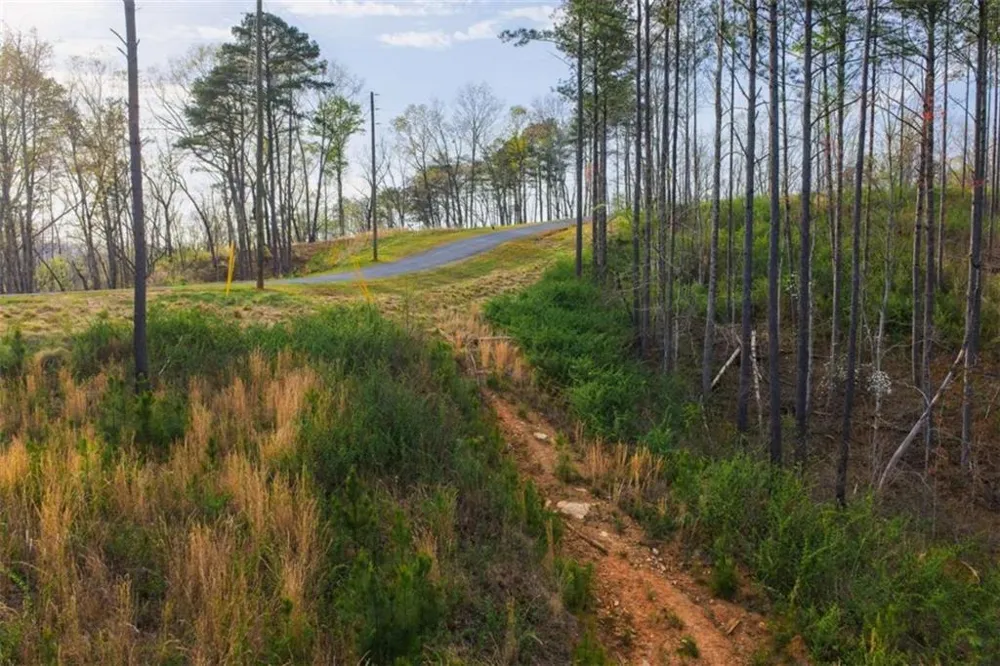 LT 226 West Vista Ridge Parkway Talking Rock, GA 30175