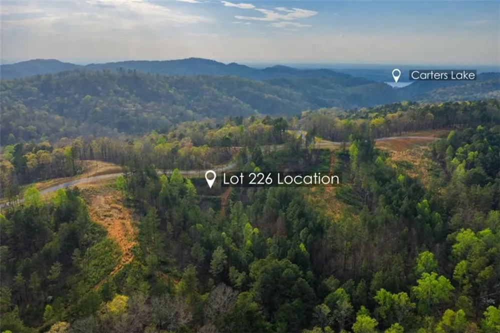 LT 226 West Vista Ridge Parkway Talking Rock, GA 30175