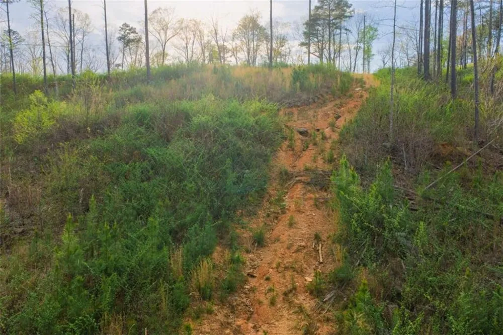 LT 226 West Vista Ridge Parkway Talking Rock, GA 30175