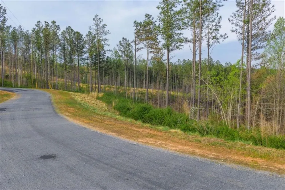 LT 226 West Vista Ridge Parkway Talking Rock, GA 30175