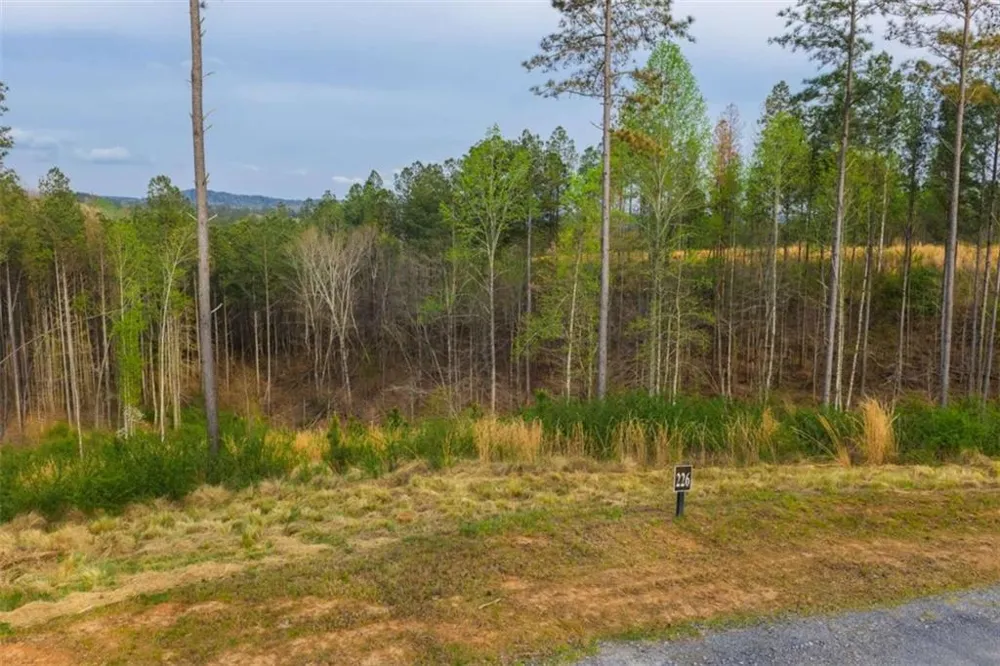 LT 226 West Vista Ridge Parkway Talking Rock, GA 30175