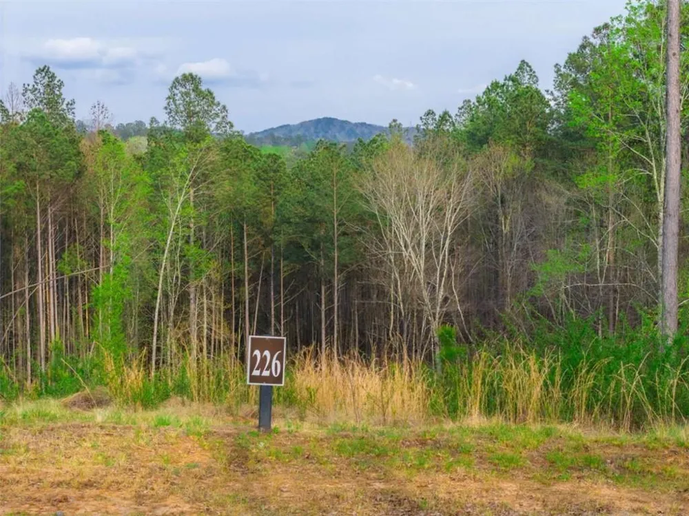 LT 226 West Vista Ridge Parkway Talking Rock, GA 30175