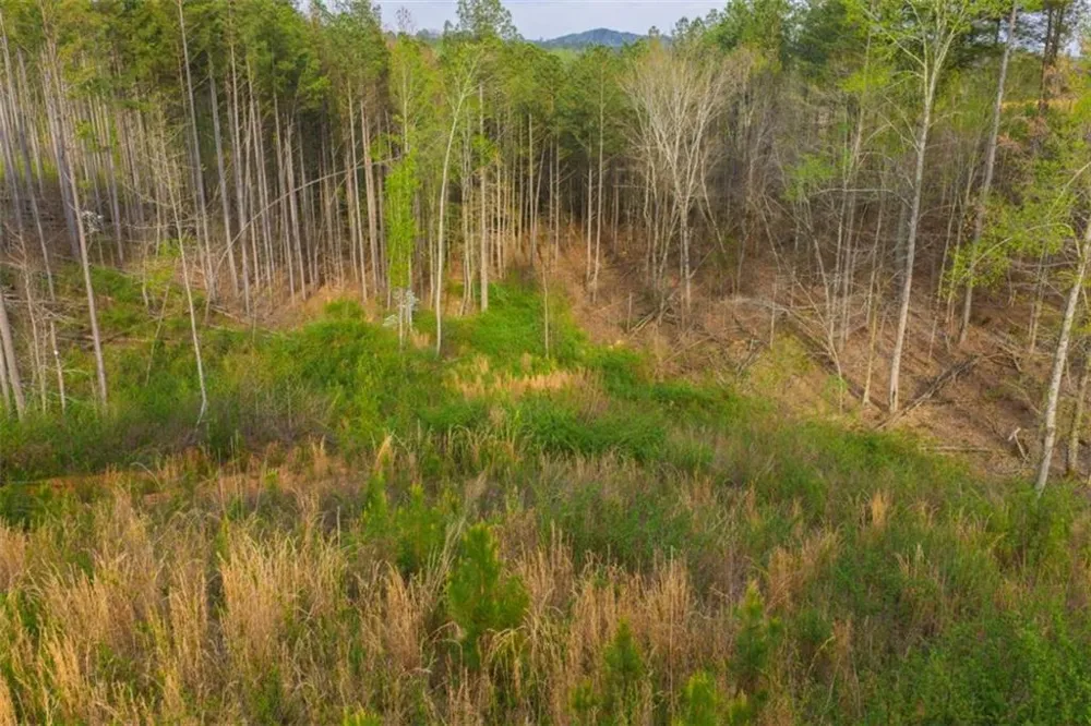 LT 226 West Vista Ridge Parkway Talking Rock, GA 30175