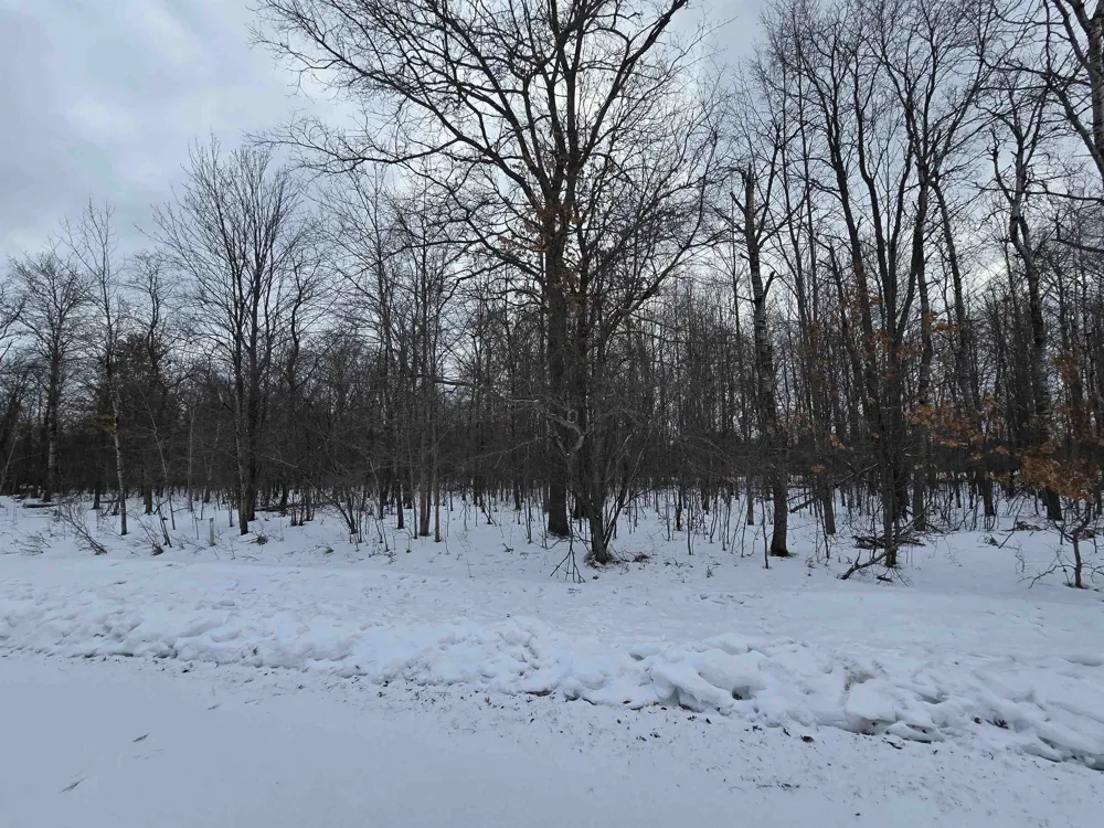 7 Fairway Court Beaver Creek Township, MI 49738