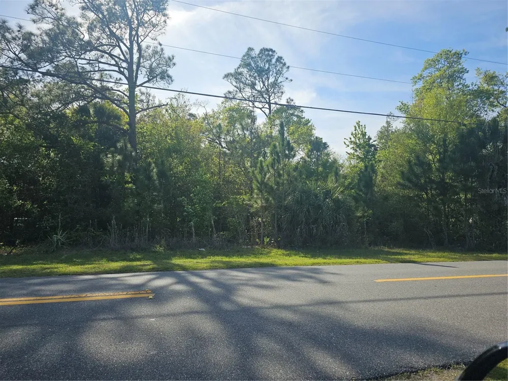 S GOODMAN ROAD Kissimmee, FL 34747