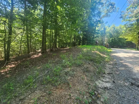 Lot 3 Meadow View Drive