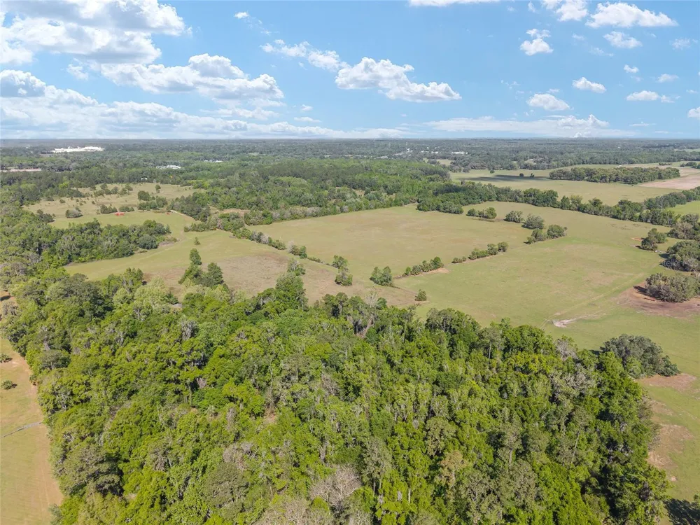6405 NW 165TH STREET Reddick, FL 32686