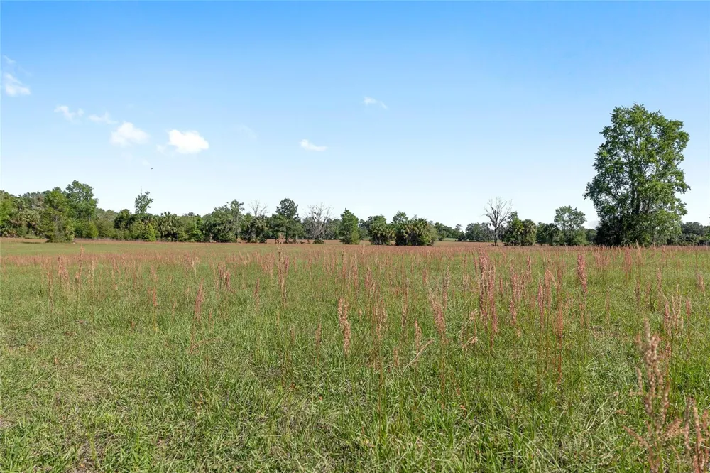 6405 NW 165TH STREET Reddick, FL 32686