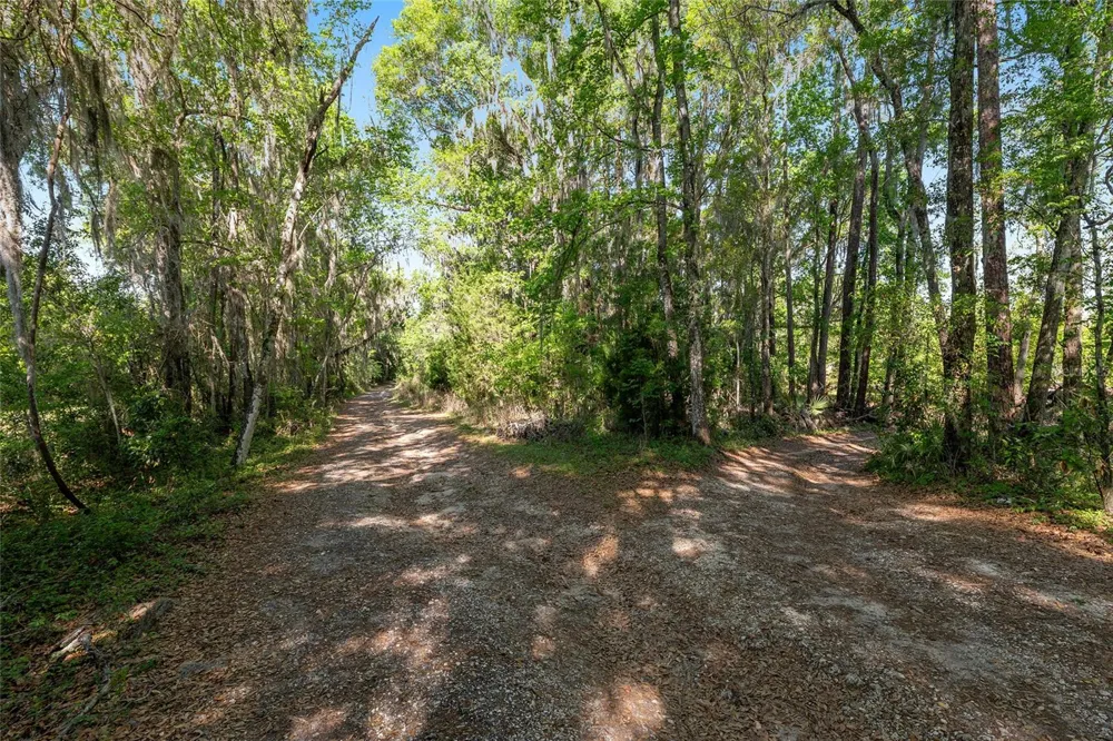 6405 NW 165TH STREET Reddick, FL 32686