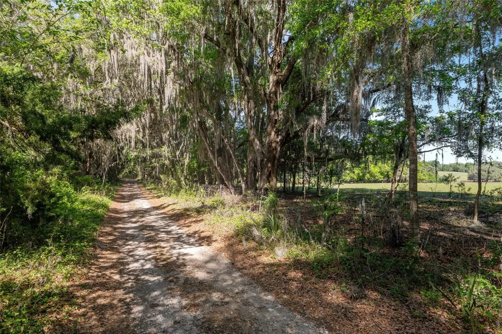 6405 NW 165TH STREET Reddick, FL 32686