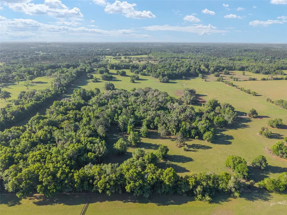 6405 NW 165TH STREET Reddick, FL 32686