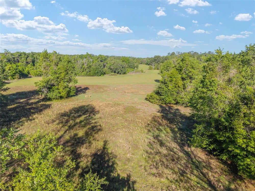 6405 NW 165TH STREET Reddick, FL 32686
