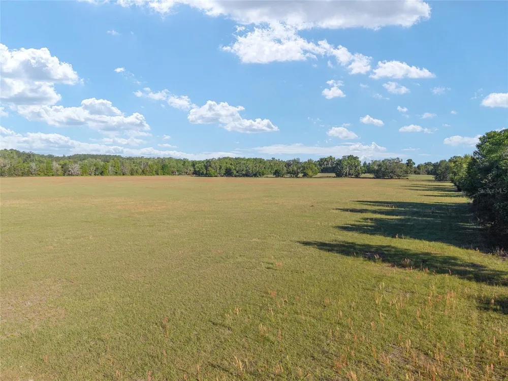 6405 NW 165TH STREET Reddick, FL 32686