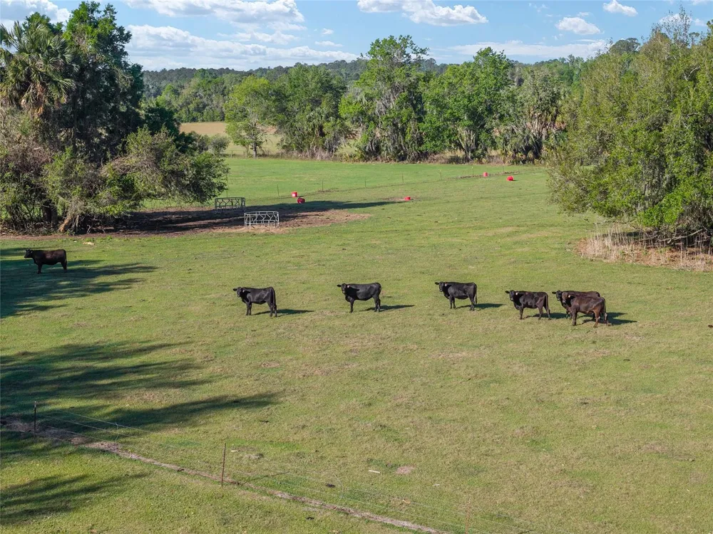 6405 NW 165TH STREET Reddick, FL 32686