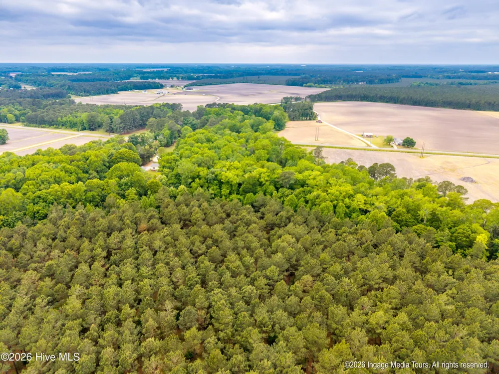 1952 Whichard Cherry Lane Road Stokes, NC 27884