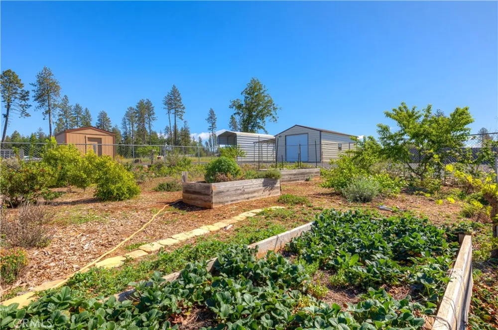 6092 Cliff Drive Paradise, CA 95969