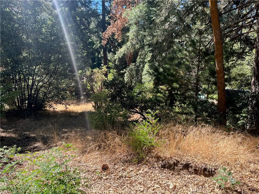 6020 Lake Angelus Oaks, CA 92305