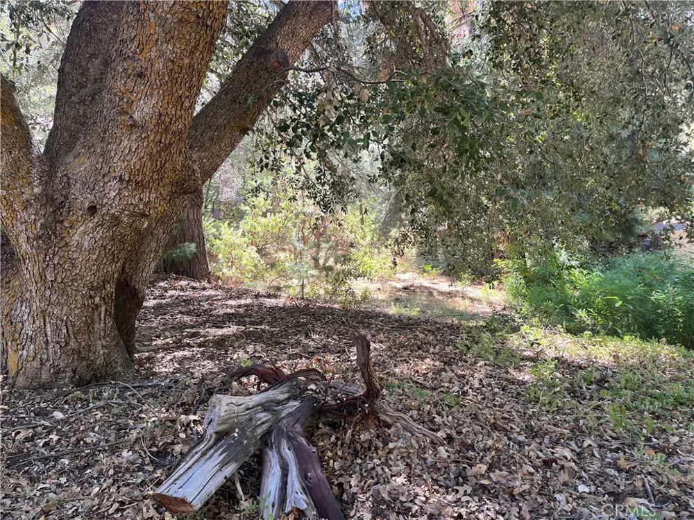 6020 Lake Angelus Oaks, CA 92305