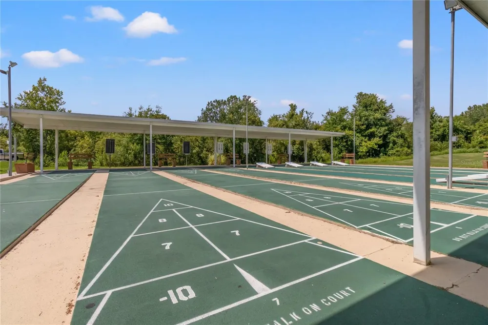 11204 COREY PAVIN LANE San Antonio, FL 33576