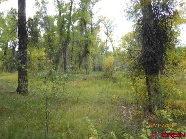 30 Caddis Fly Lane Gunnison, CO 81230