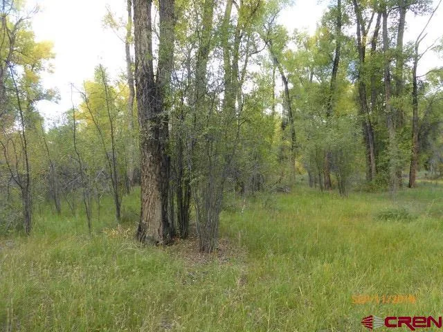 30 Caddis Fly Lane Gunnison, CO 81230