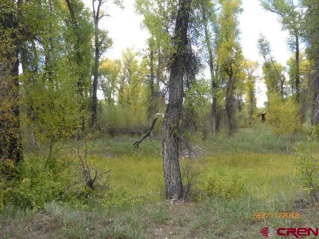 30 Caddis Fly Lane Gunnison, CO 81230
