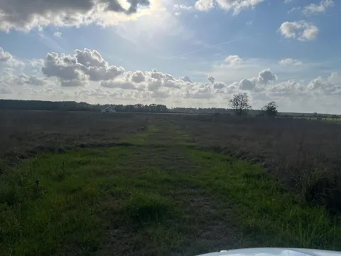 509 County Road 2285