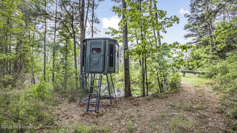 1021 Tyler Drive Summit, MS 39666