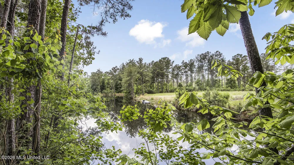 1021 Tyler Drive Summit, MS 39666
