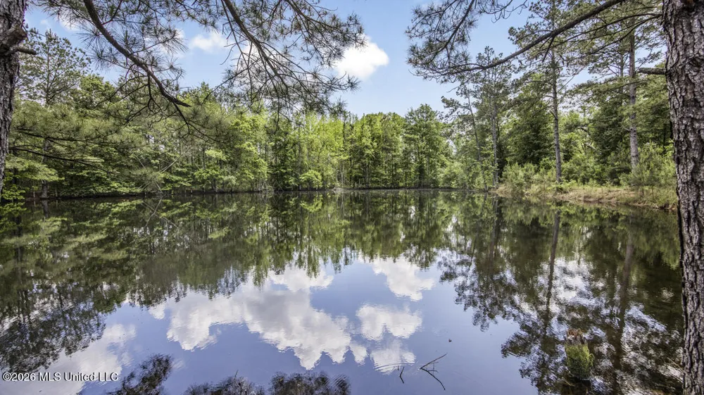 1021 Tyler Drive Summit, MS 39666