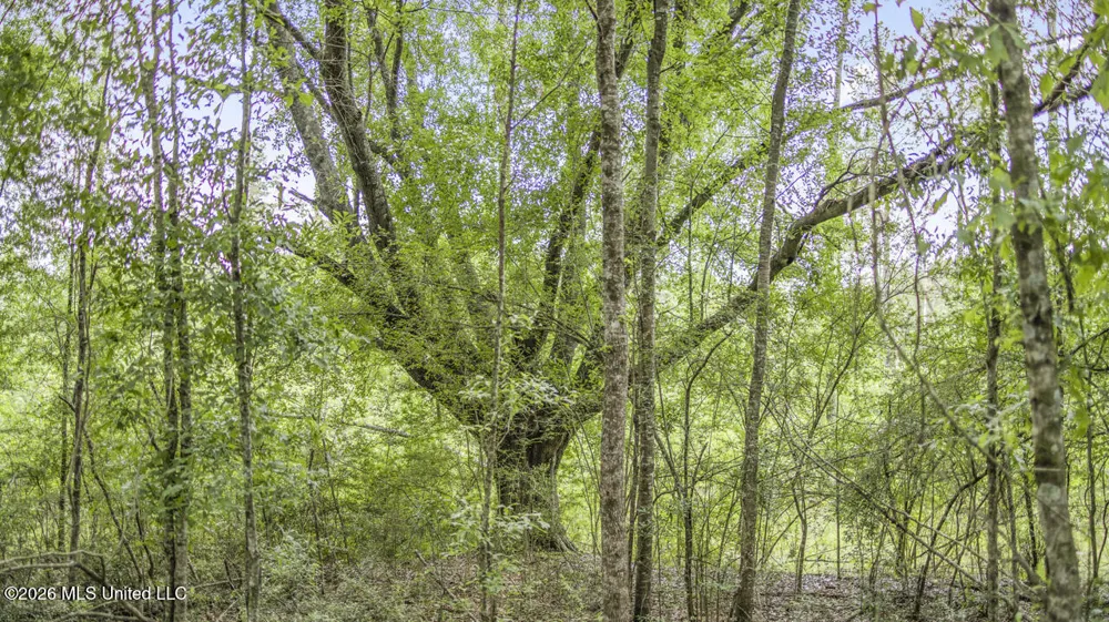 1021 Tyler Drive Summit, MS 39666
