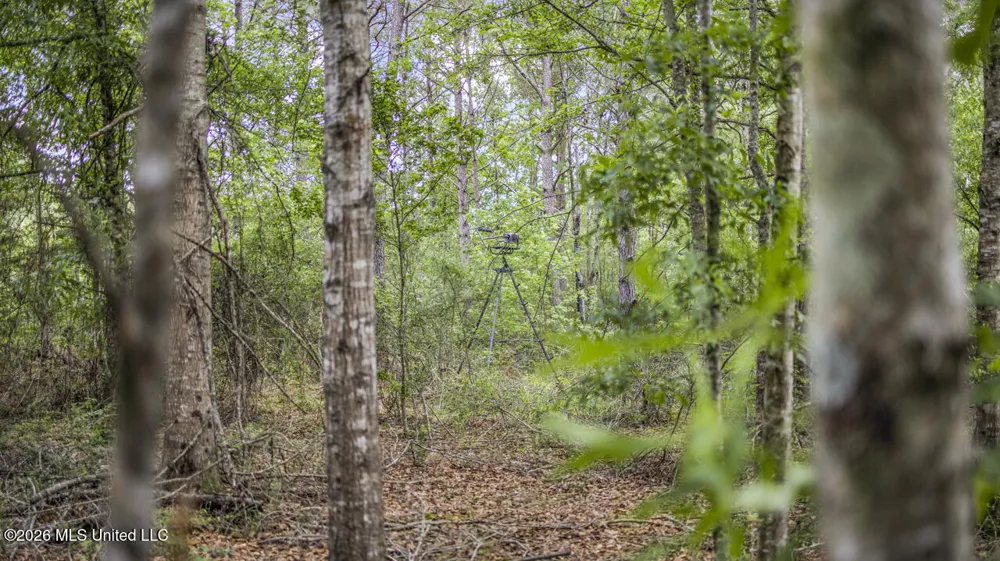 1021 Tyler Drive Summit, MS 39666