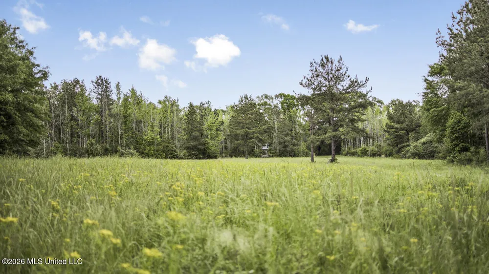 1021 Tyler Drive Summit, MS 39666