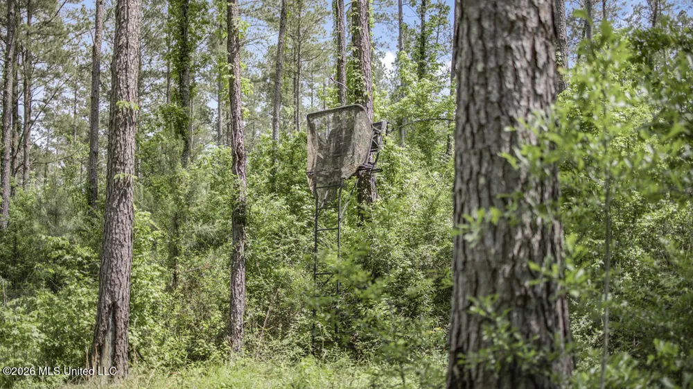 1021 Tyler Drive Summit, MS 39666