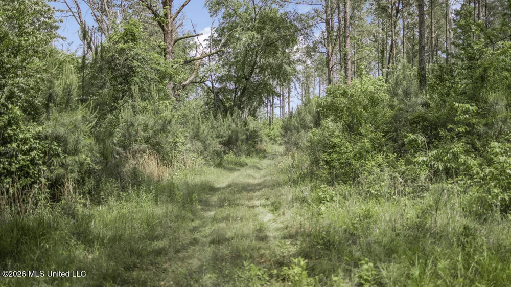 1021 Tyler Drive Summit, MS 39666