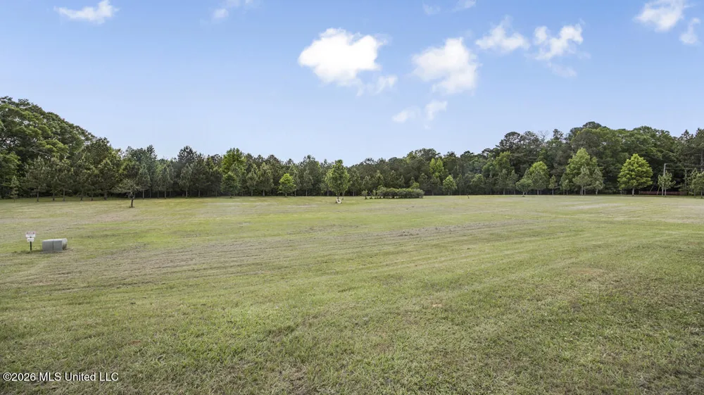 1021 Tyler Drive Summit, MS 39666