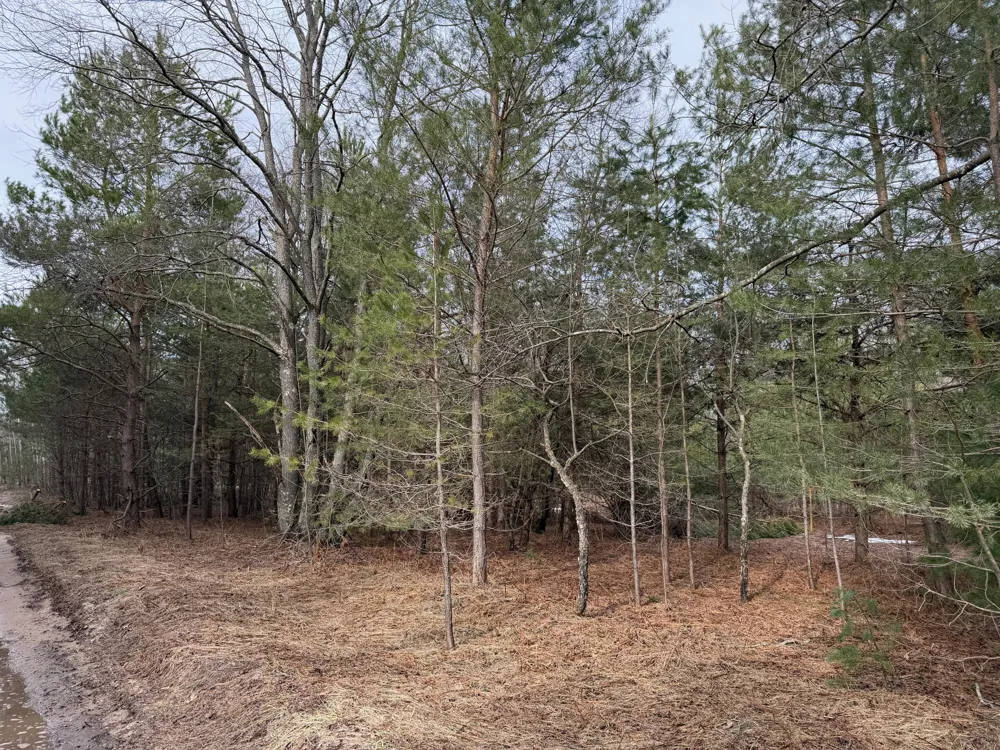 Pihl Road Kaleva, MI 49645