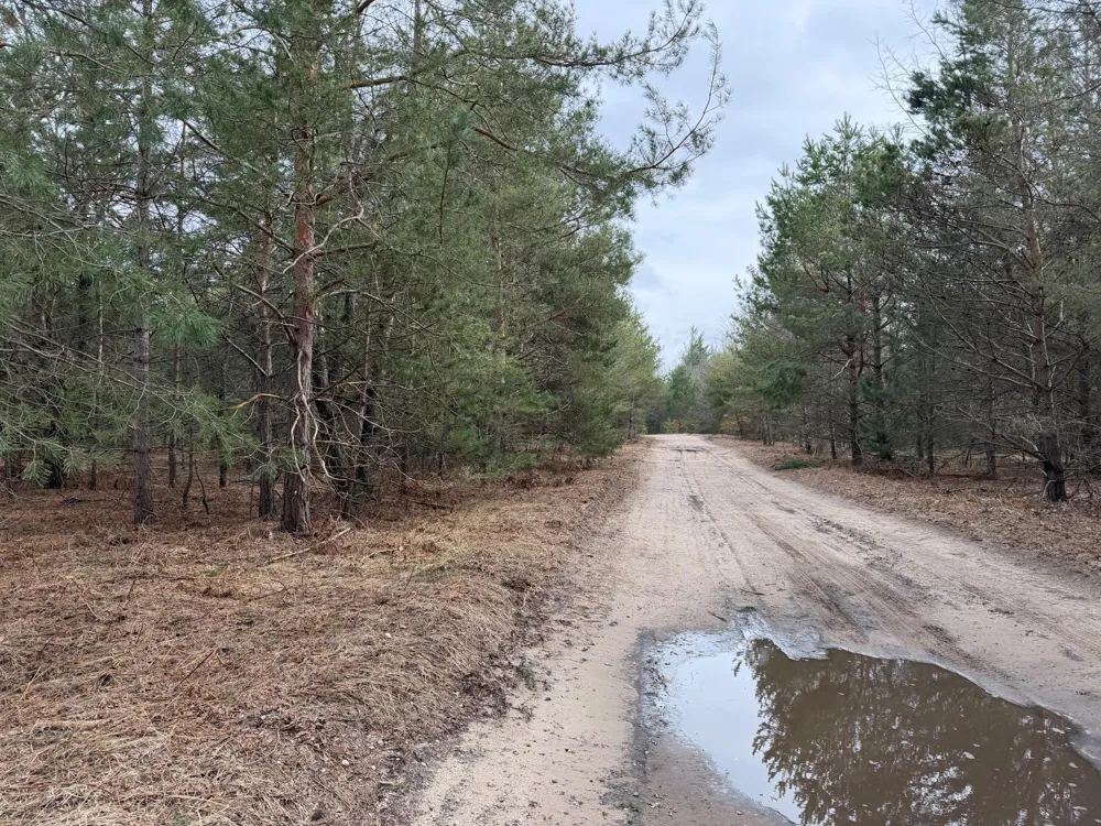 Pihl Road Kaleva, MI 49645